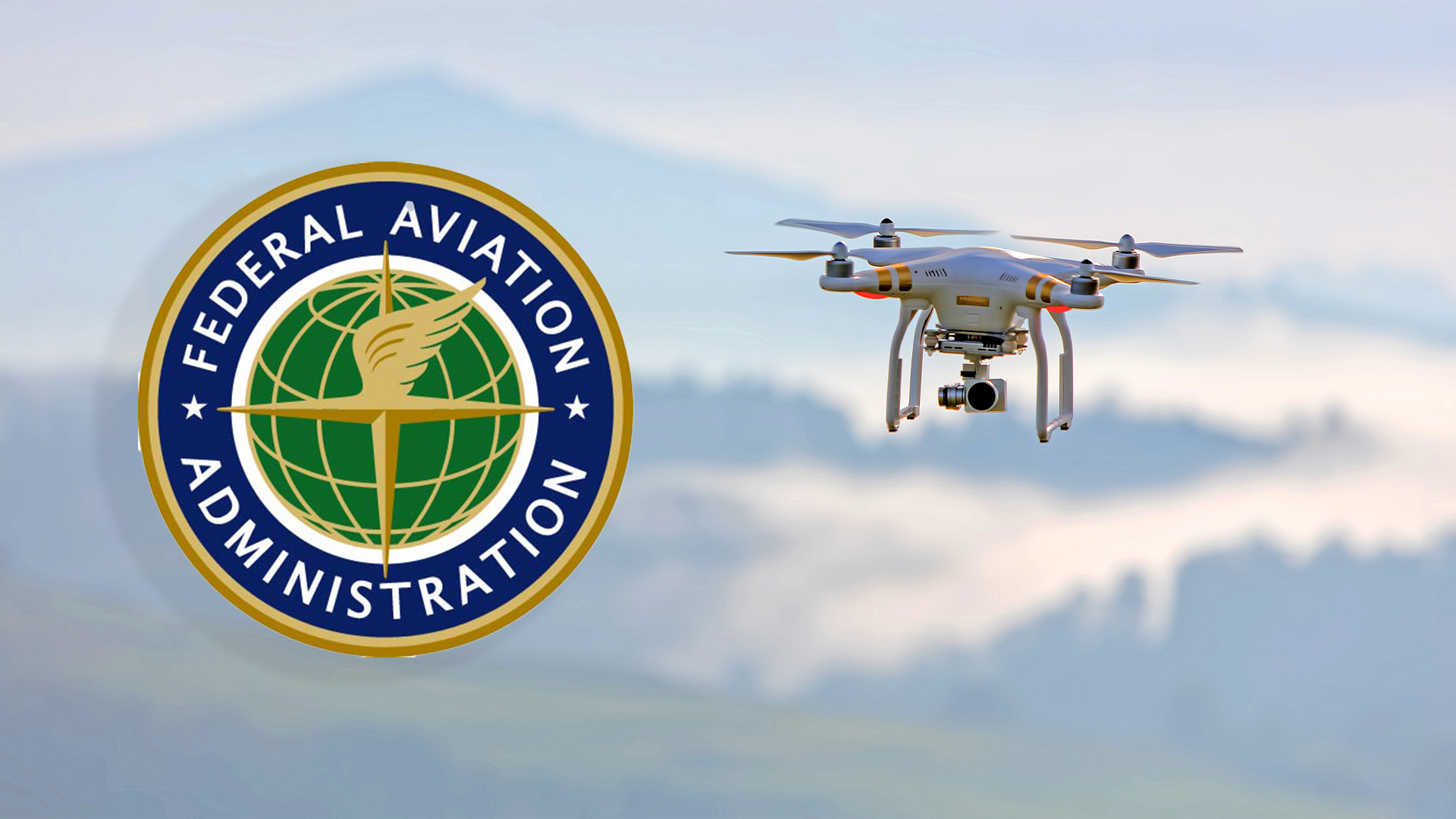 Federal Aviation Administration (FAA)